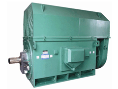YKK4504-4/630KWY系列6KV高压电机